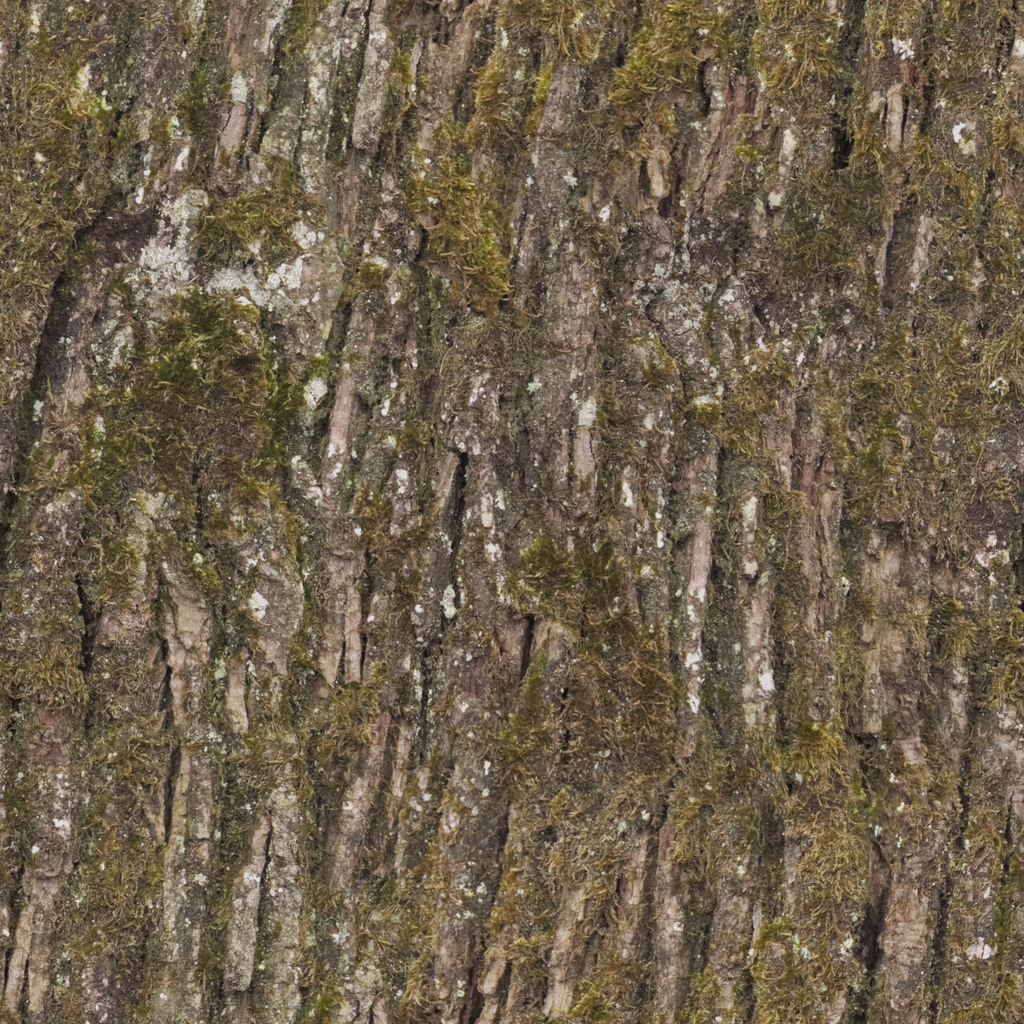 Base texture
