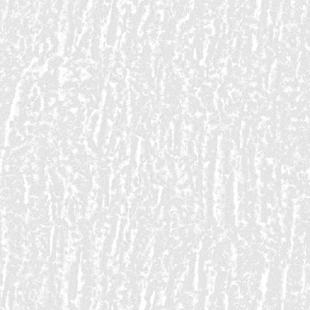 Roughness texture